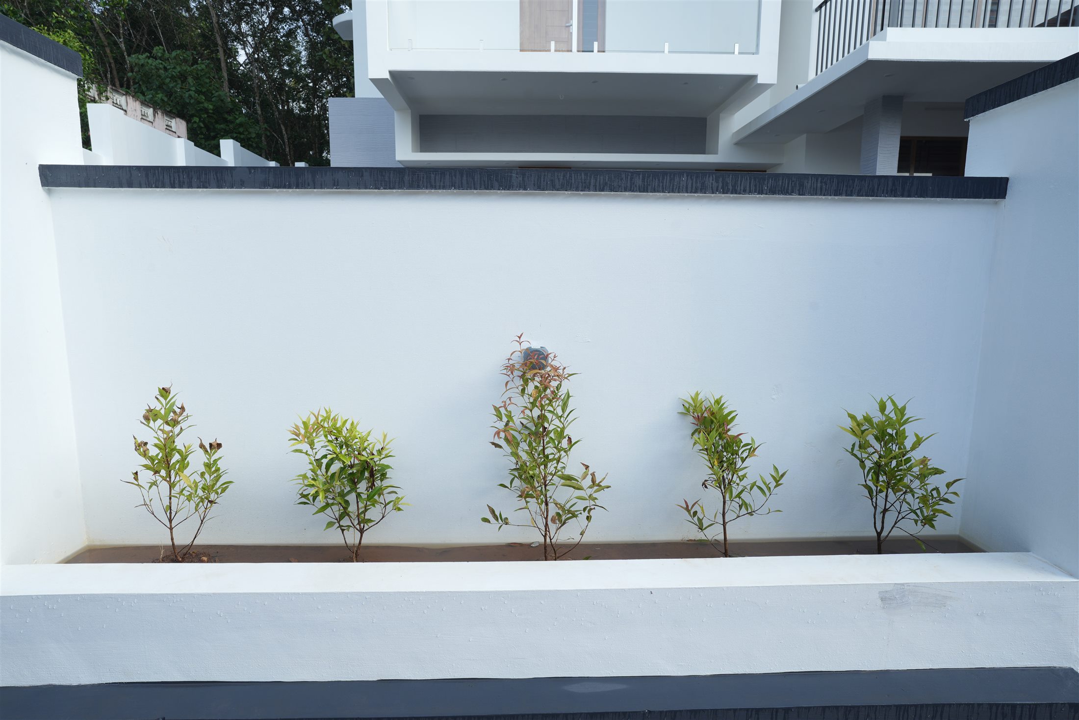 Samriddhi compound wall and landscaping